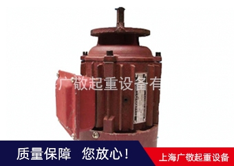 南京總廠電機(jī)  6級(jí)電機(jī) 8級(jí)電機(jī)廠家批發(fā)